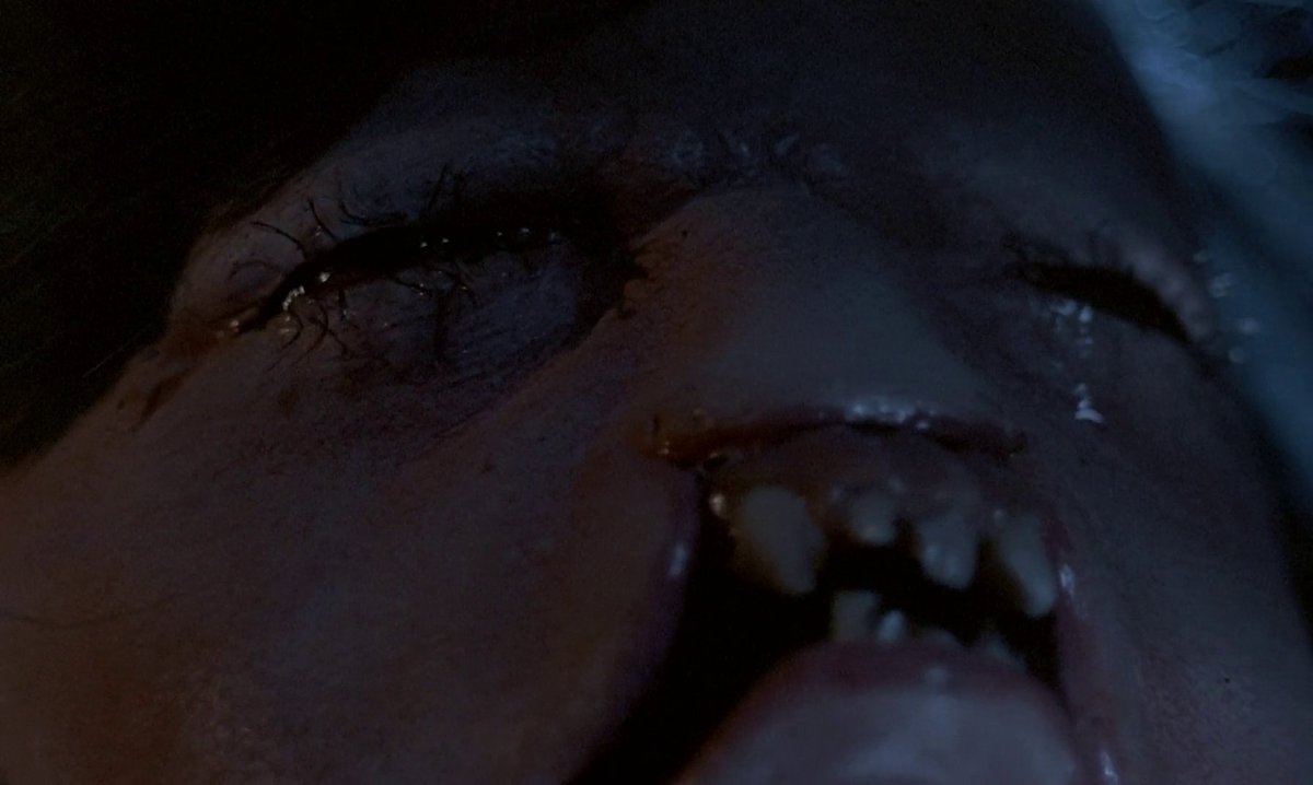 ZaGorudan tweet media