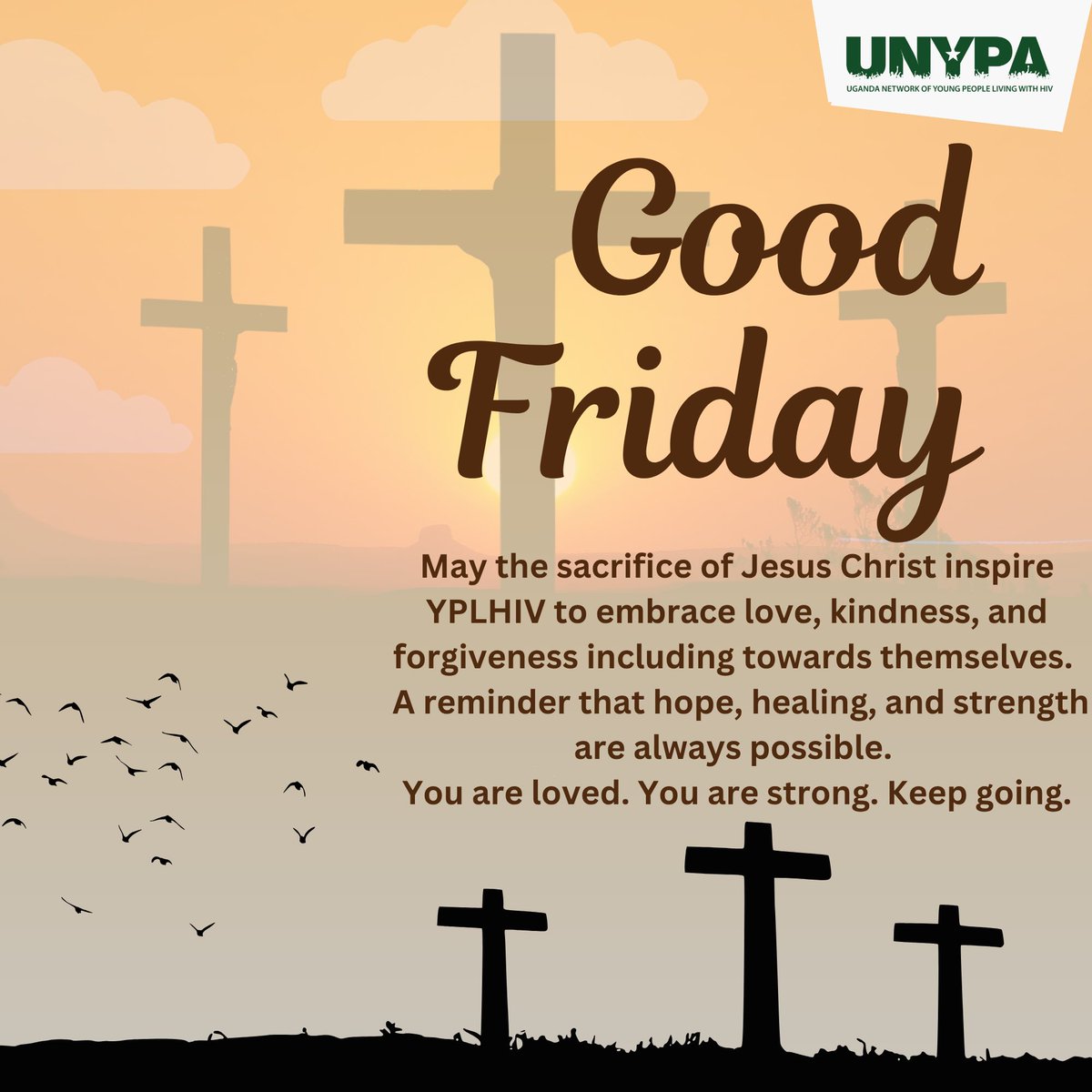 Uganda Network of Young People Living with HIV tweet media