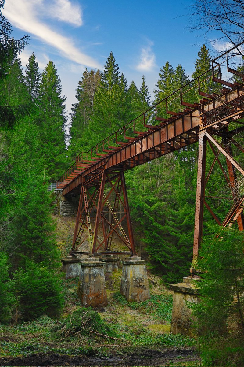 ᛏᛟᚱᛊᛏᛖᚾ ᚷᛟᛖᛏᛉ tweet media