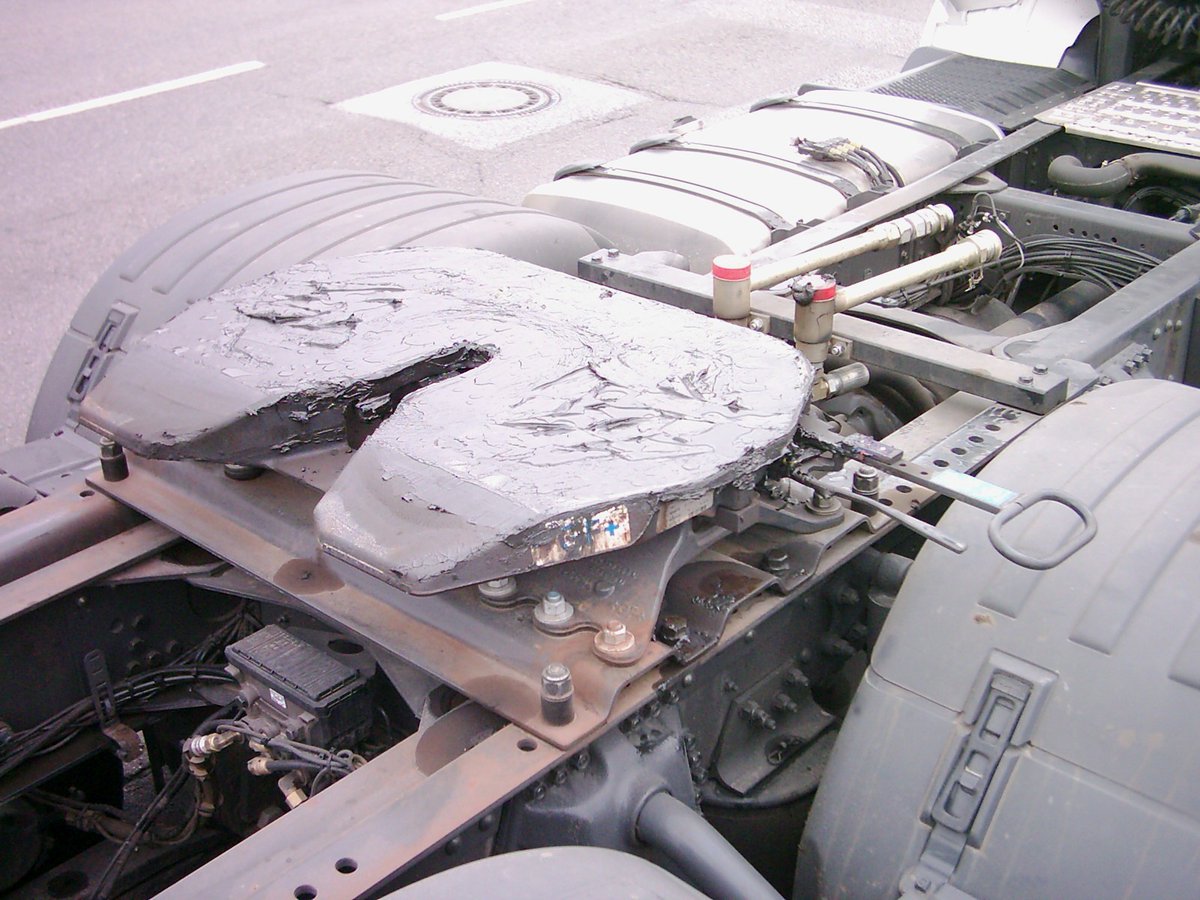 Tom d'Avignon tweet media