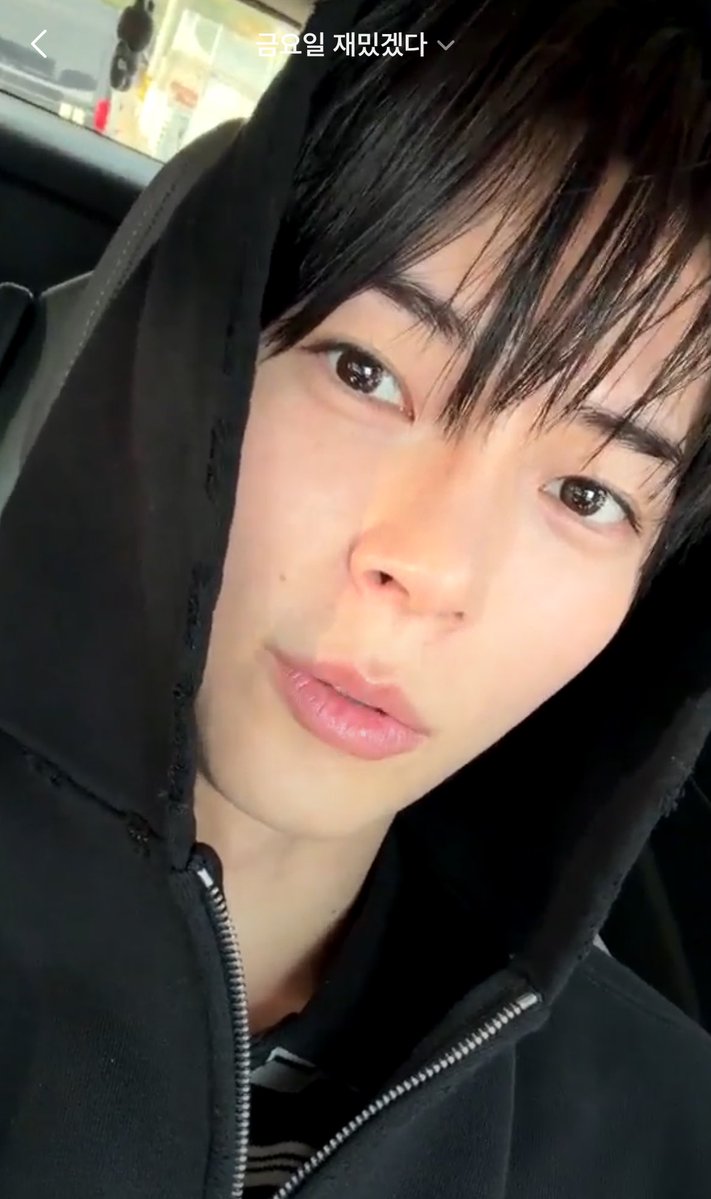 ham 💬 tweet media