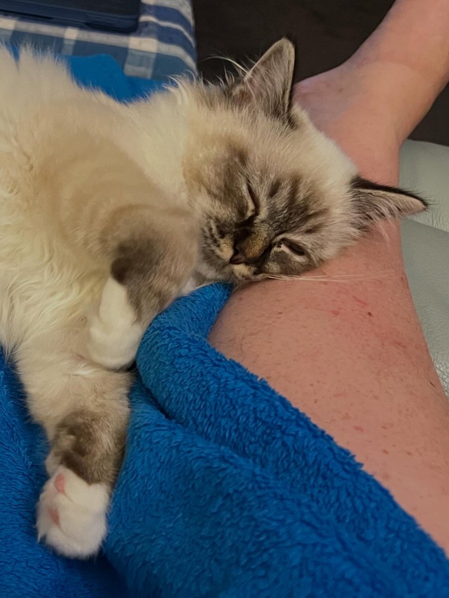 Beth Manning tweet media