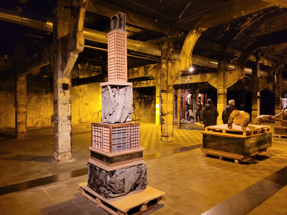 CuriosidadNatural tweet media