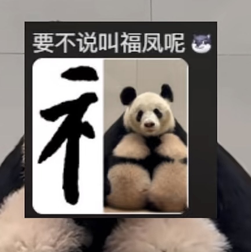 锁子哥 tweet media