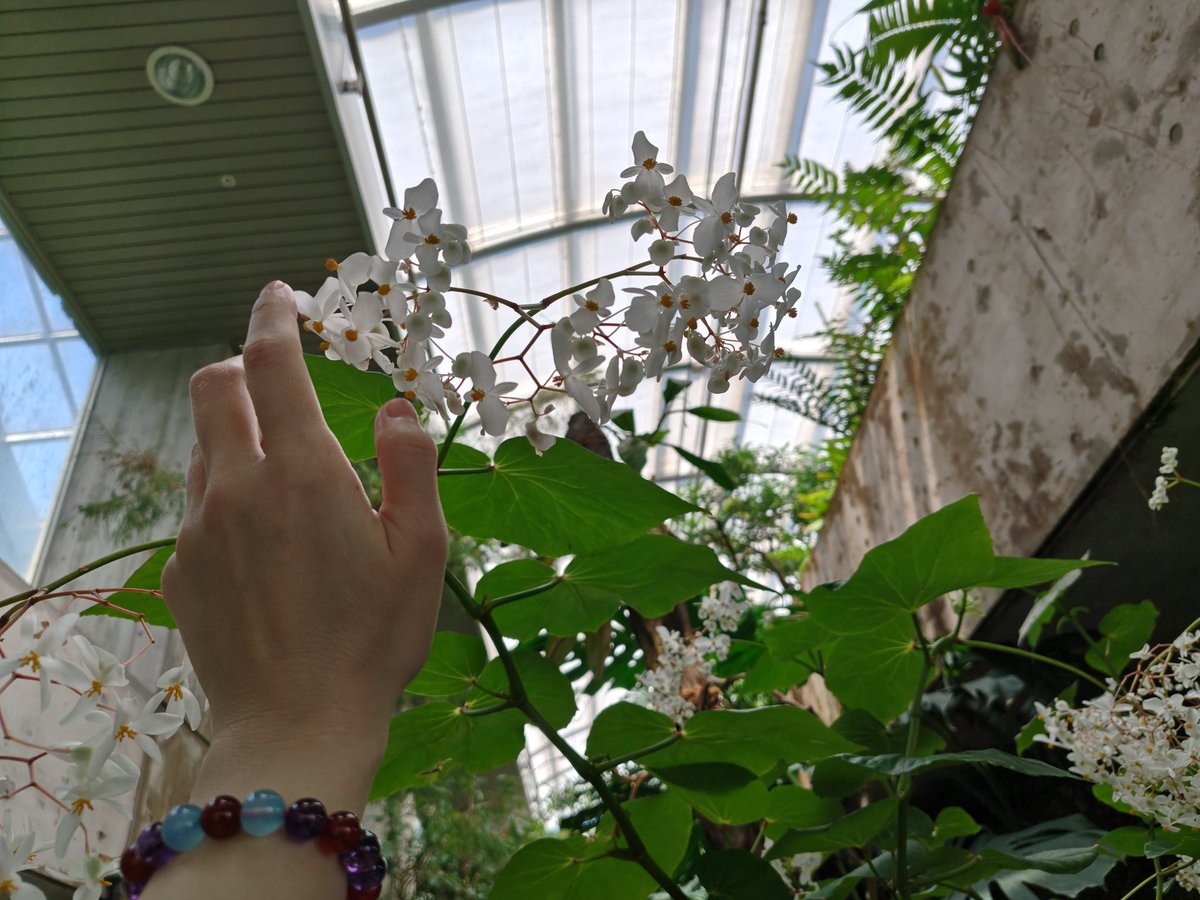 ながともユウ⇄永友優🐾 tweet media