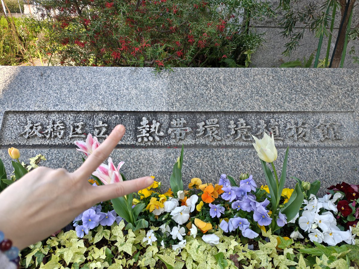 ながともユウ⇄永友優🐾 tweet media