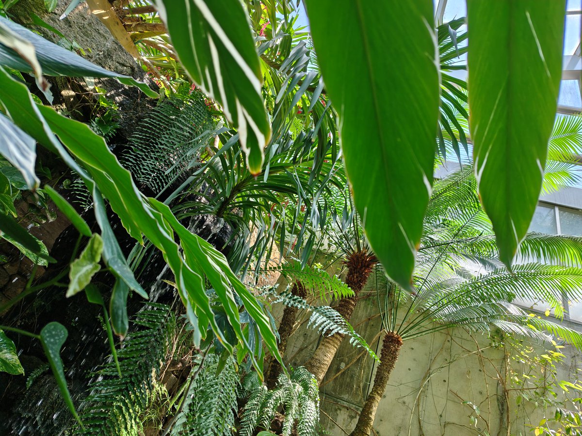 ながともユウ⇄永友優🐾 tweet media