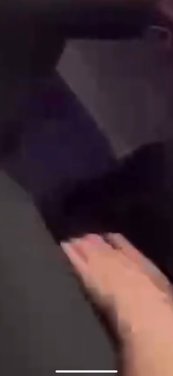 only4s44u tweet media