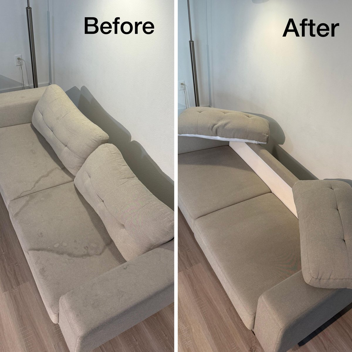 avyn-upholstery-cleaning tweet media