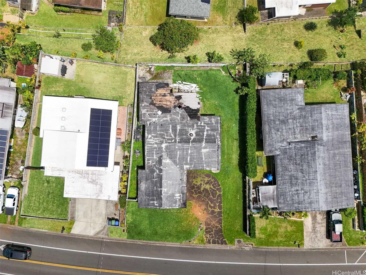 Hawaiʻi Life tweet media