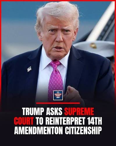 Mike Netter tweet media