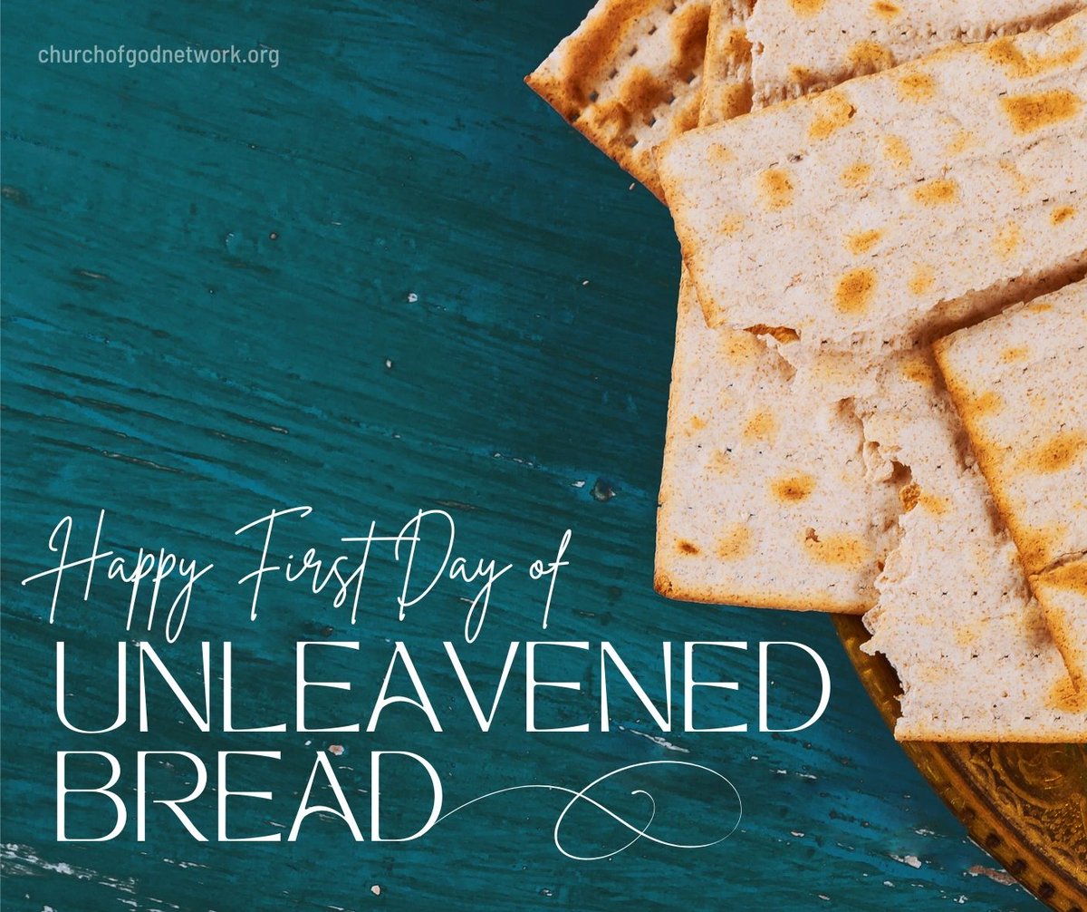 Timothy 6️⃣5️⃣🎹 ☘️☘️🥁🇲🇨😎 tweet media