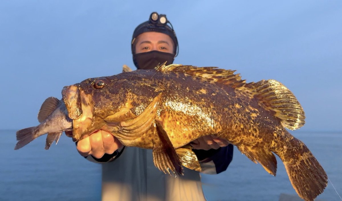 EAST-NORTH釣りVlog tweet media