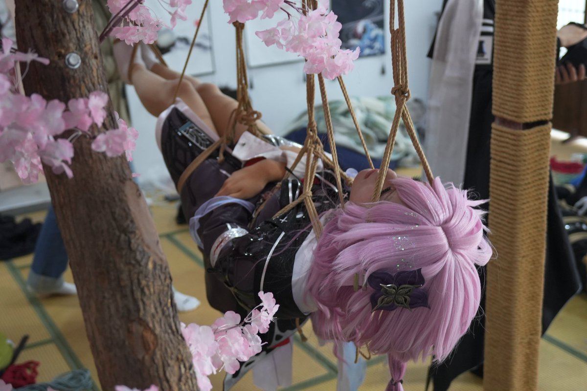 提拉米苏丶 tweet media