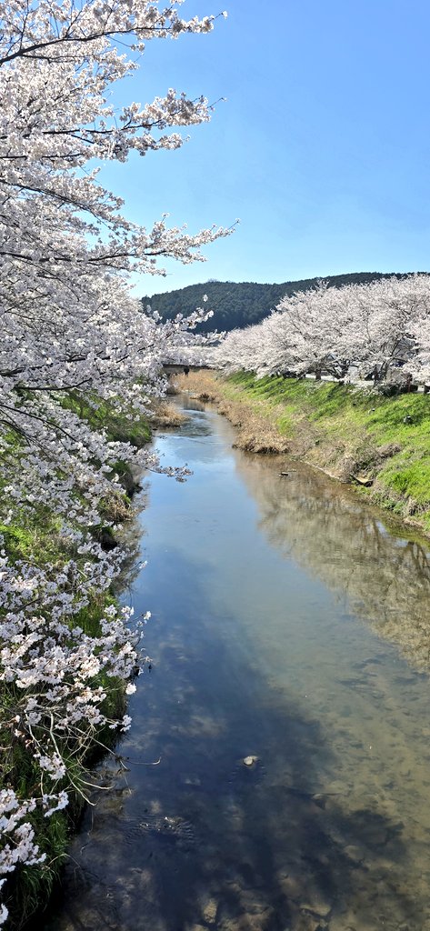 歴子🦊 tweet media