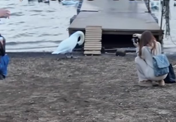 Photo                                     Photographer