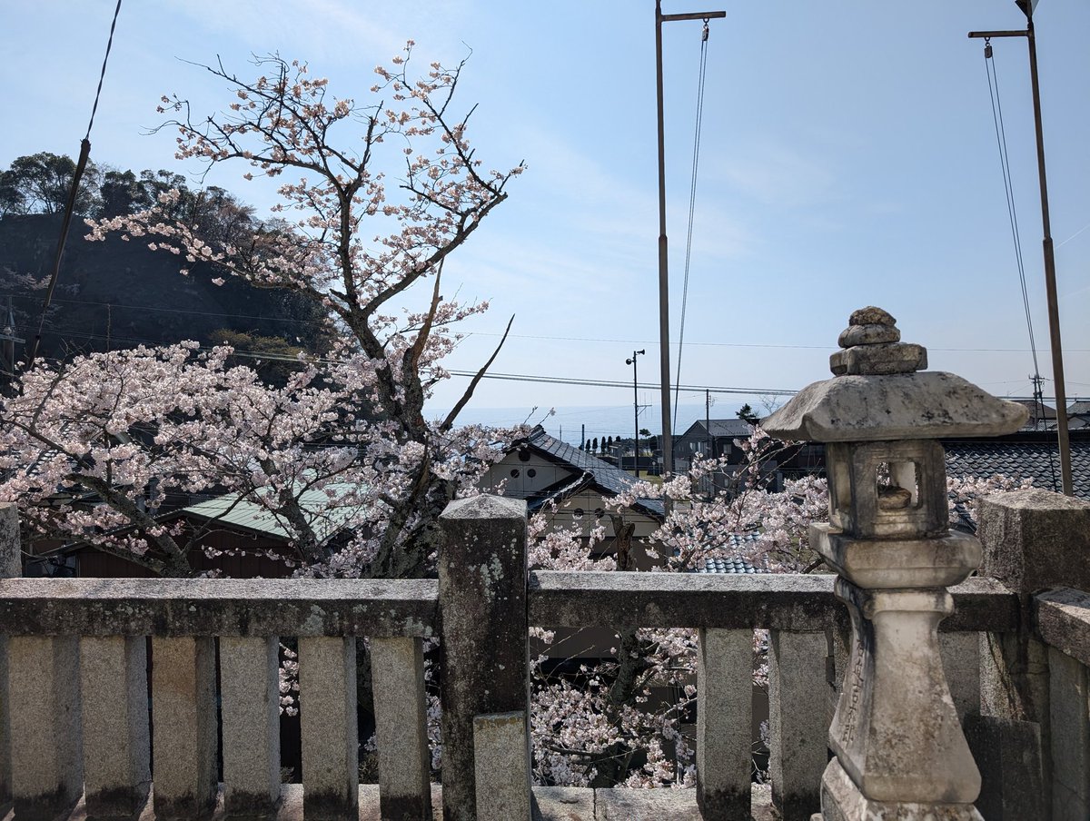 umdius labka tweet media