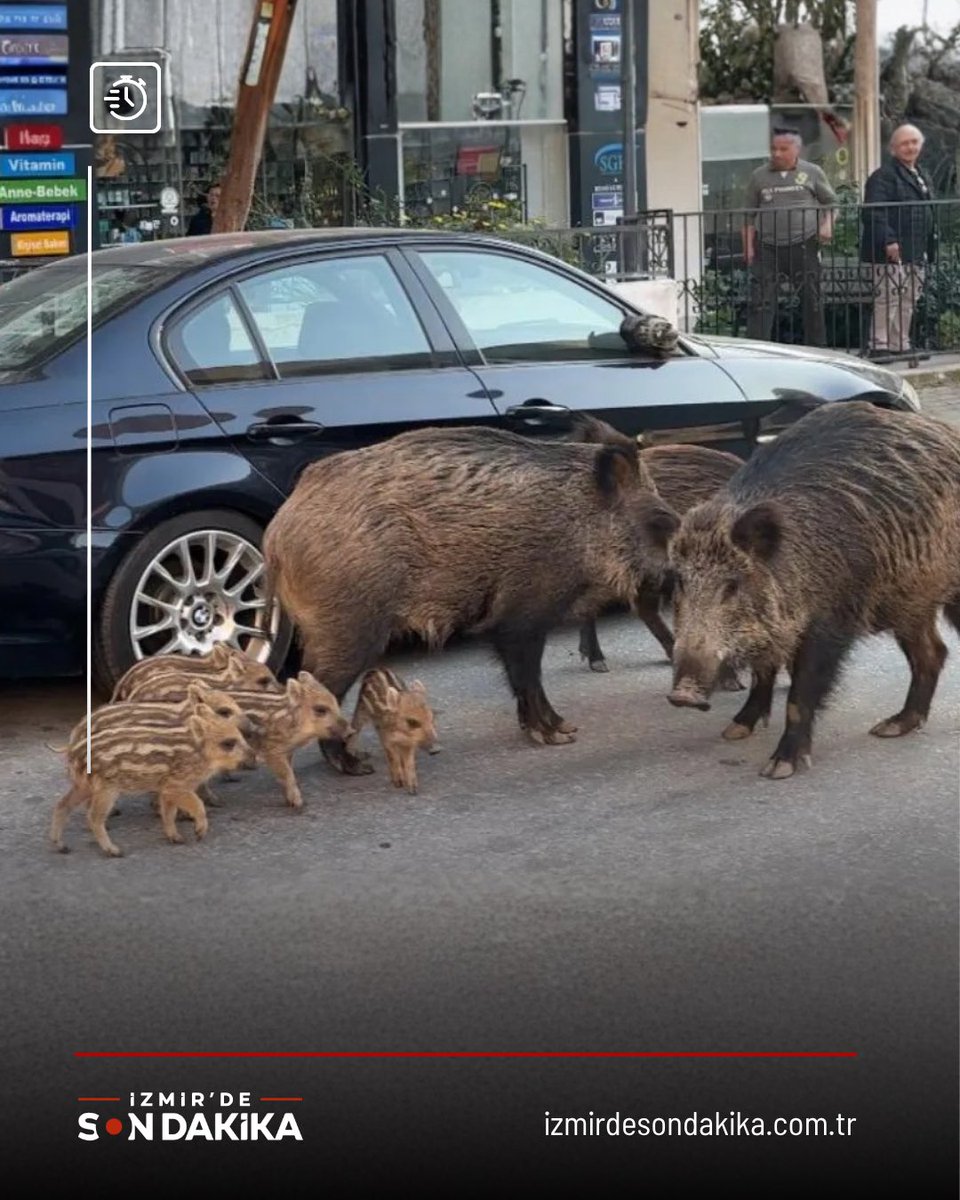 İzmir'de Son Dakika tweet media