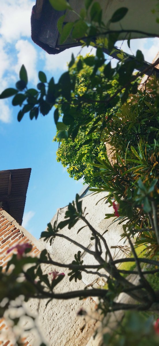 gloryhunt tweet media