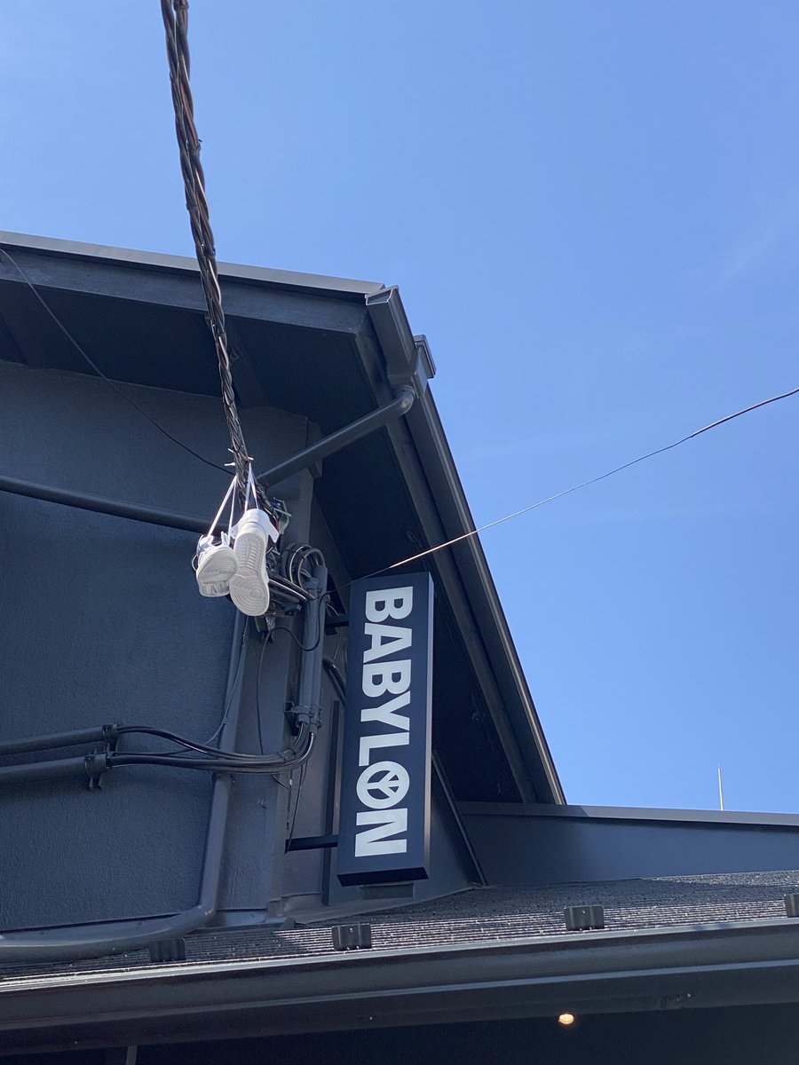 えび🍤 tweet media