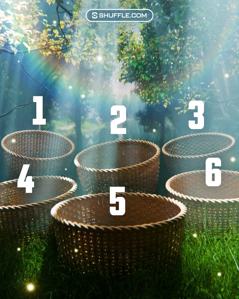 Shuffle.com tweet media