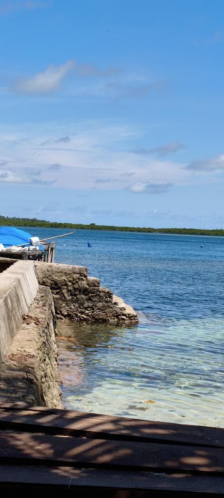 Fყαα tweet media