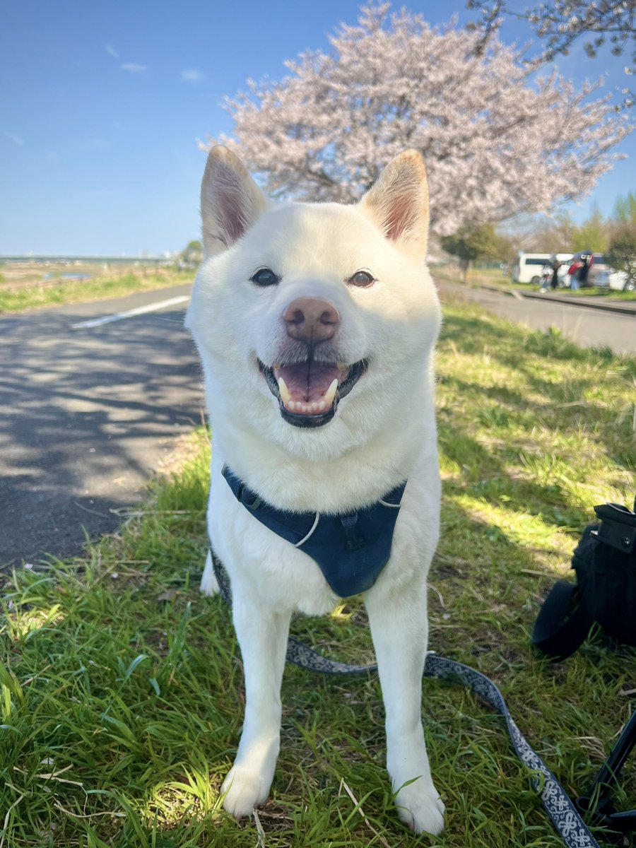 武藤直哉@銀印本舗 tweet media