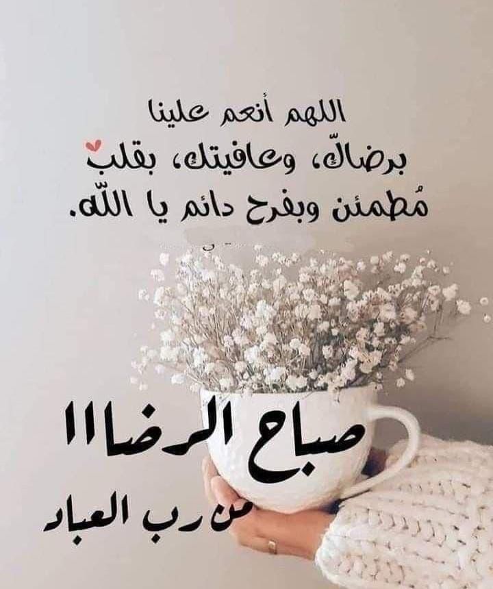 د.آمنة مهنا الكعبي tweet media