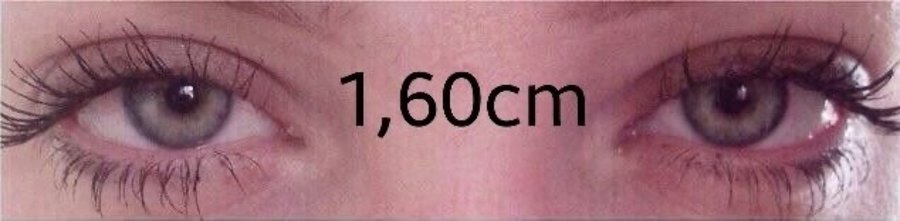 小呼呼 tweet media