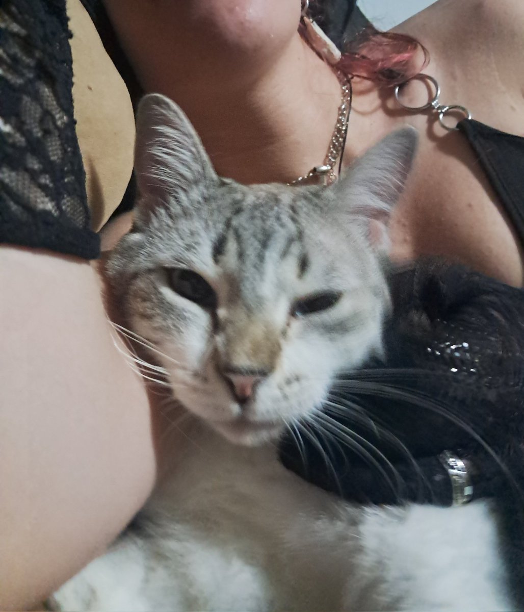 Rëmmorsth (Ele/Dele) tweet media