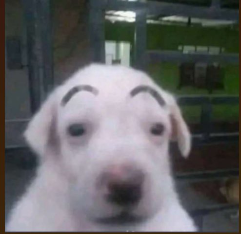 anerbananers🍌 tweet media