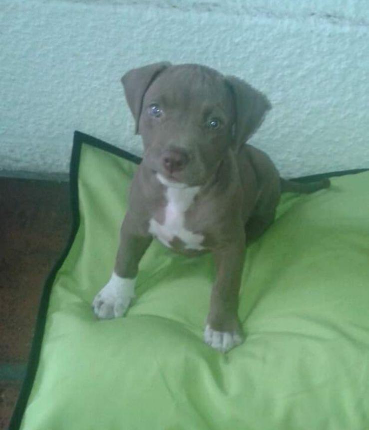 ★Mali★🦋 tweet media