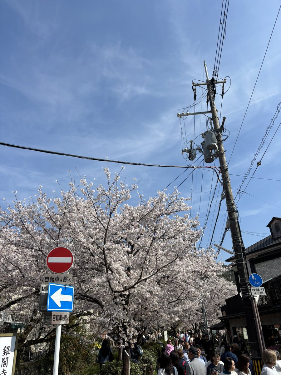 かりうむ tweet media