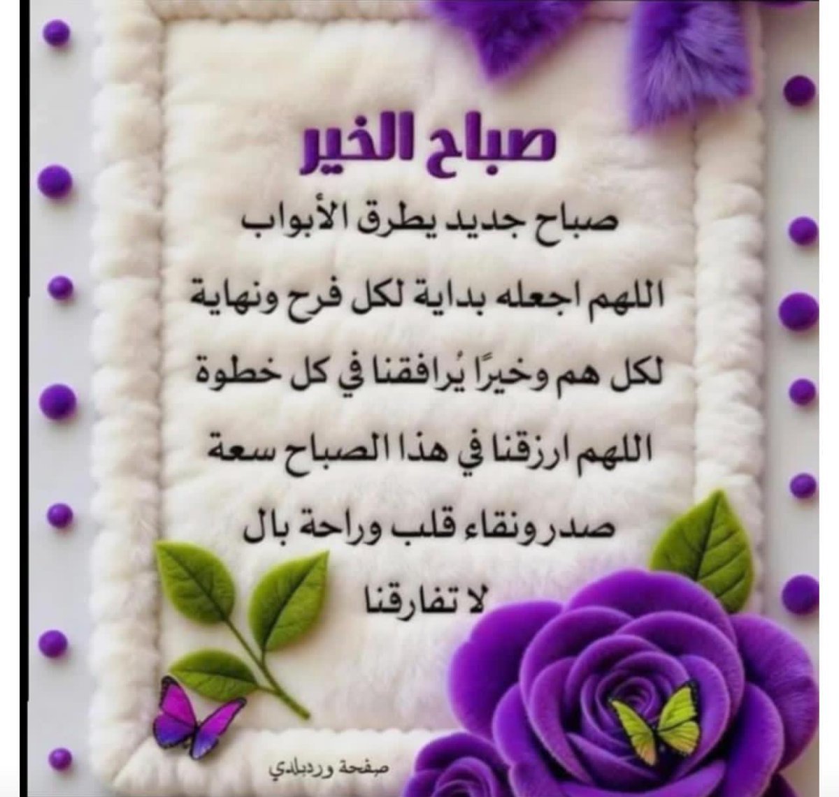 ⚪️ع العساف ⚪️ tweet media