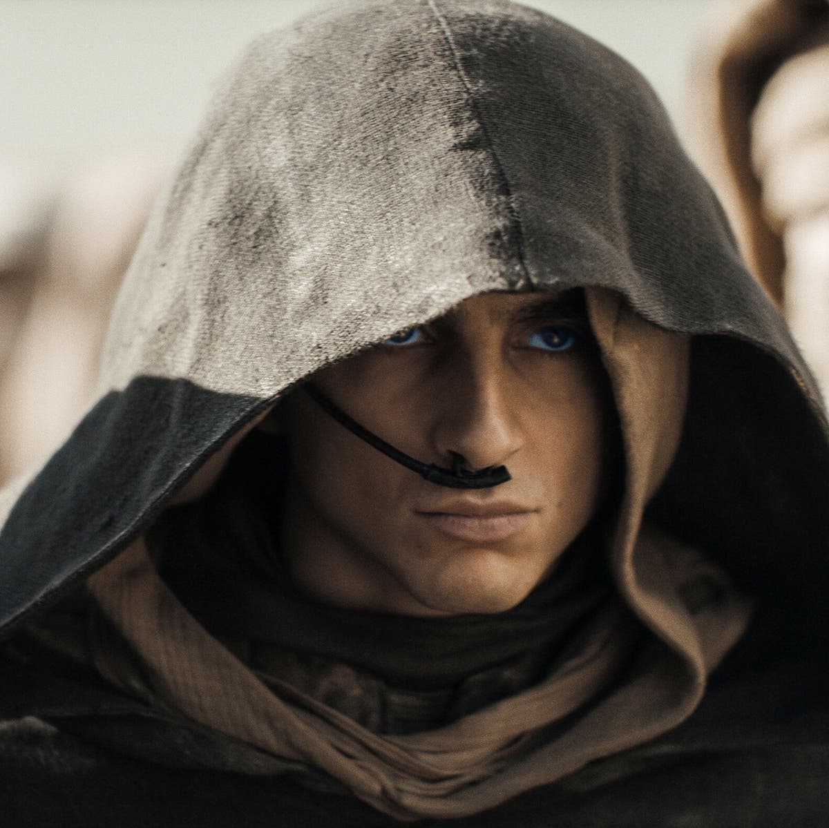 BW4ever🐺🐰 tweet media