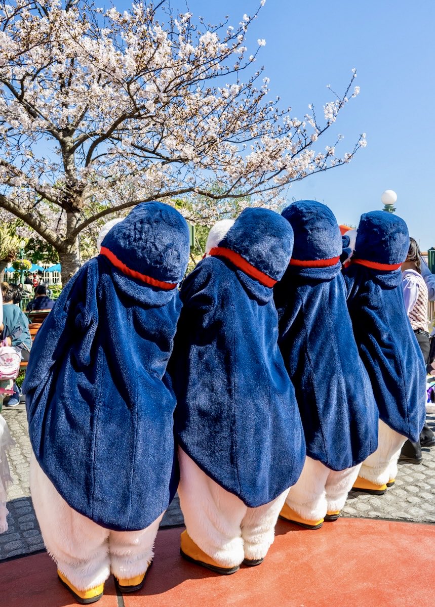 MezzoMiki tweet media