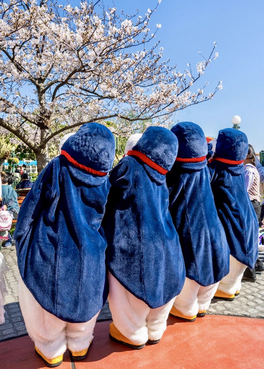 ディズニーコスプレ【ペンギンウェイター1度着用】150〜160 MezzoMiki on X: 