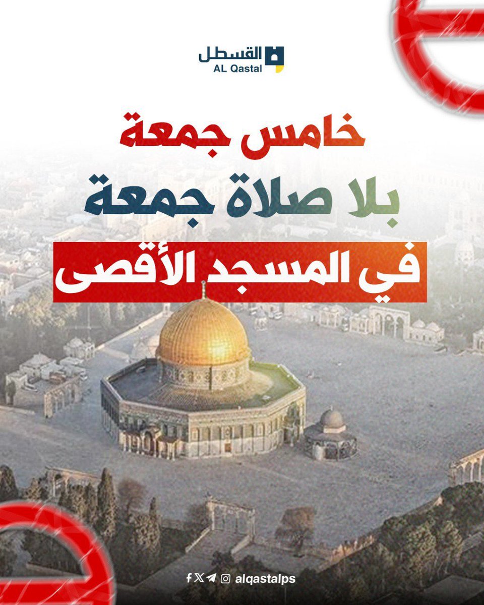 القسطل الإخباري tweet media