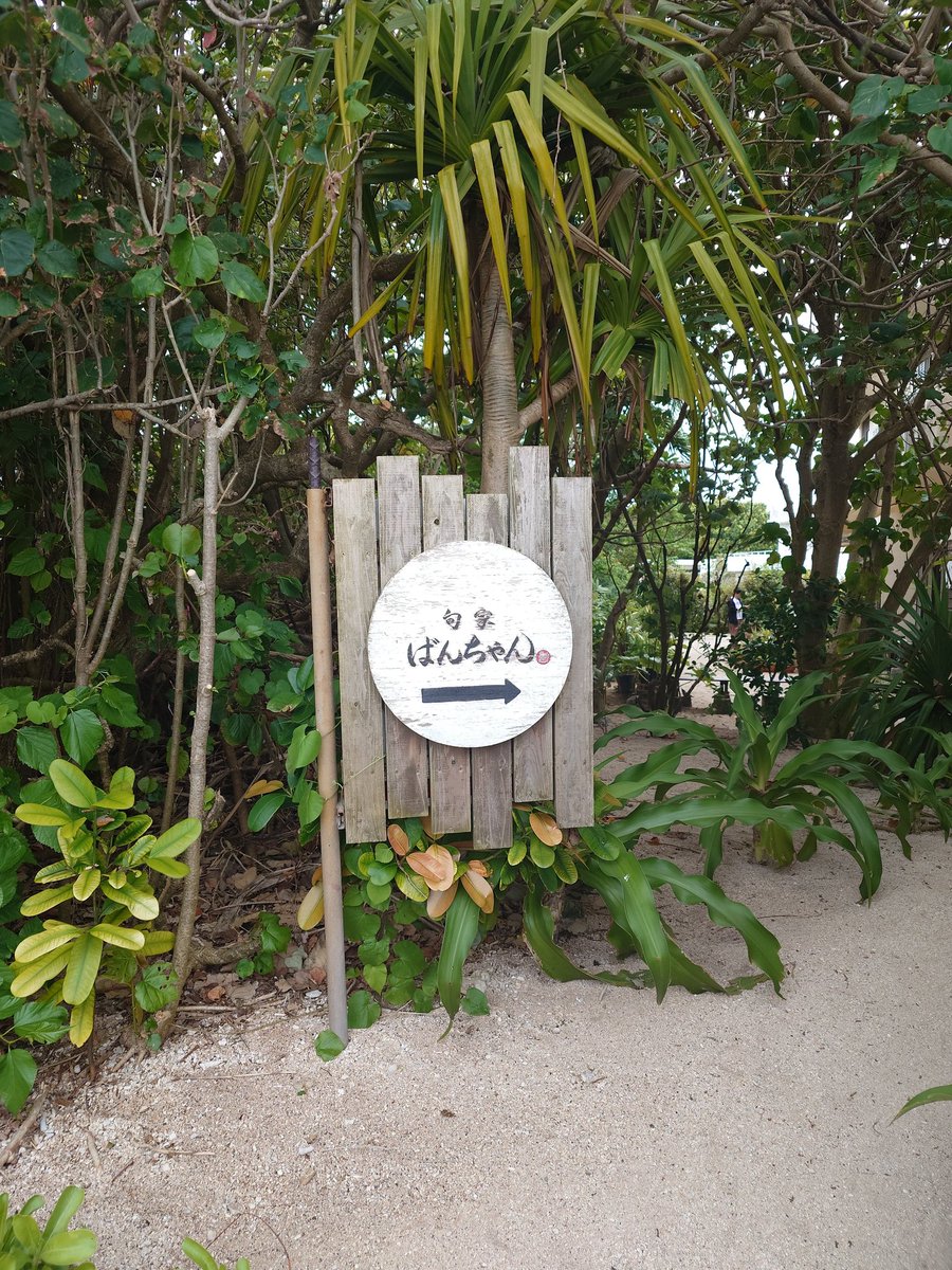 けい’24SFC済→’25JGC開始→’26✈️修行再開 tweet media