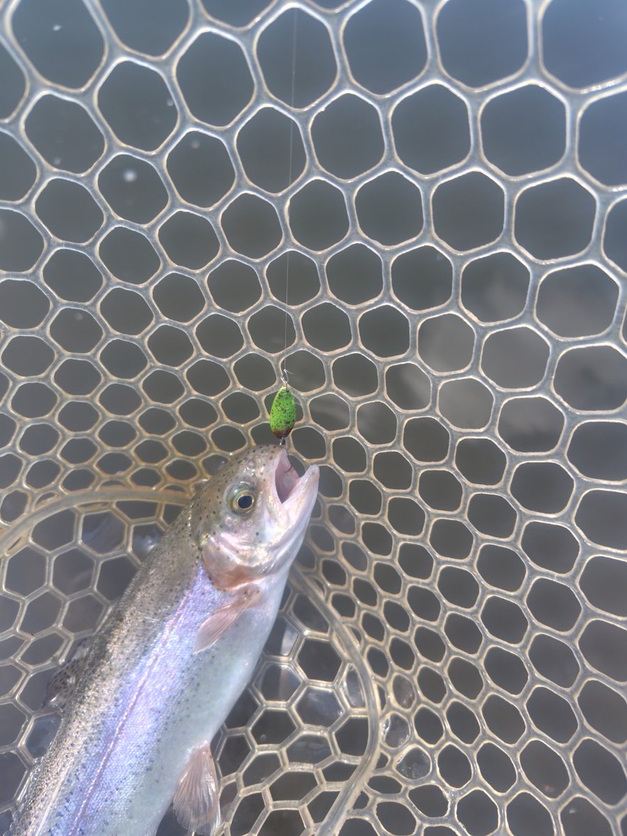 shakericeburger's tweet photo. 新宿タカシマヤさんで
KHORのスプーン販売とな!
東山湖に来ている場合じゃなかった!?
#FishHook
#タカシマヤ
#KHOR
#東山湖 https://t.co/HnoUDJQsxX