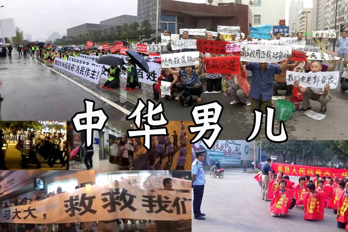 阳阳宝贝 tweet media