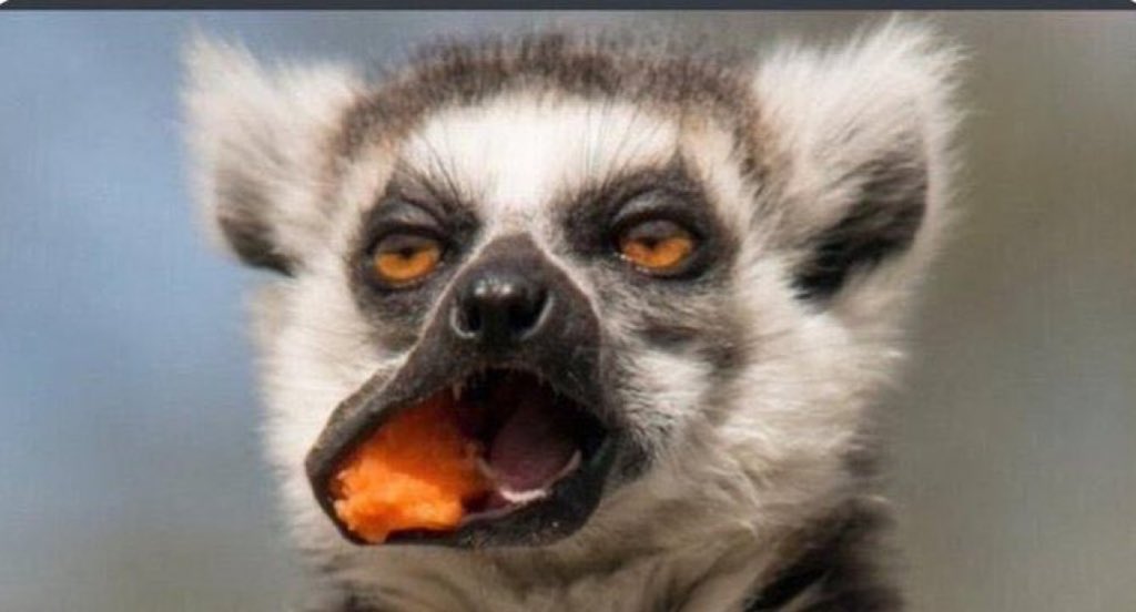 John Vianney tweet media