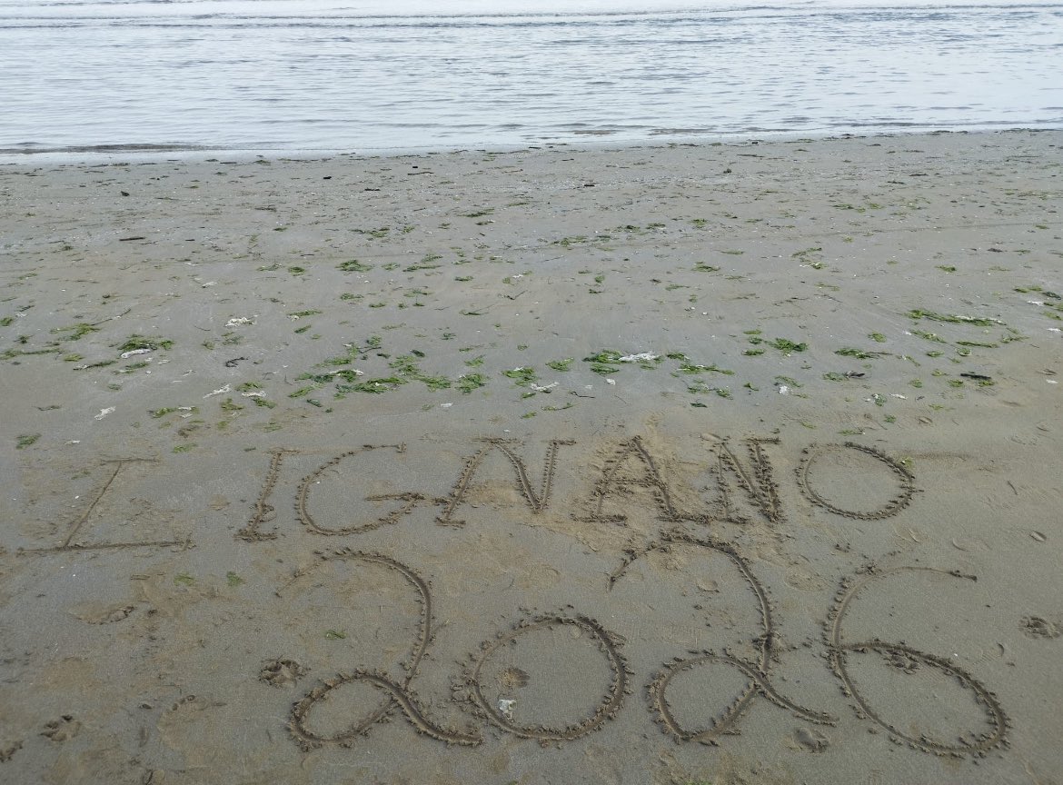 Mudge Rulf tweet media