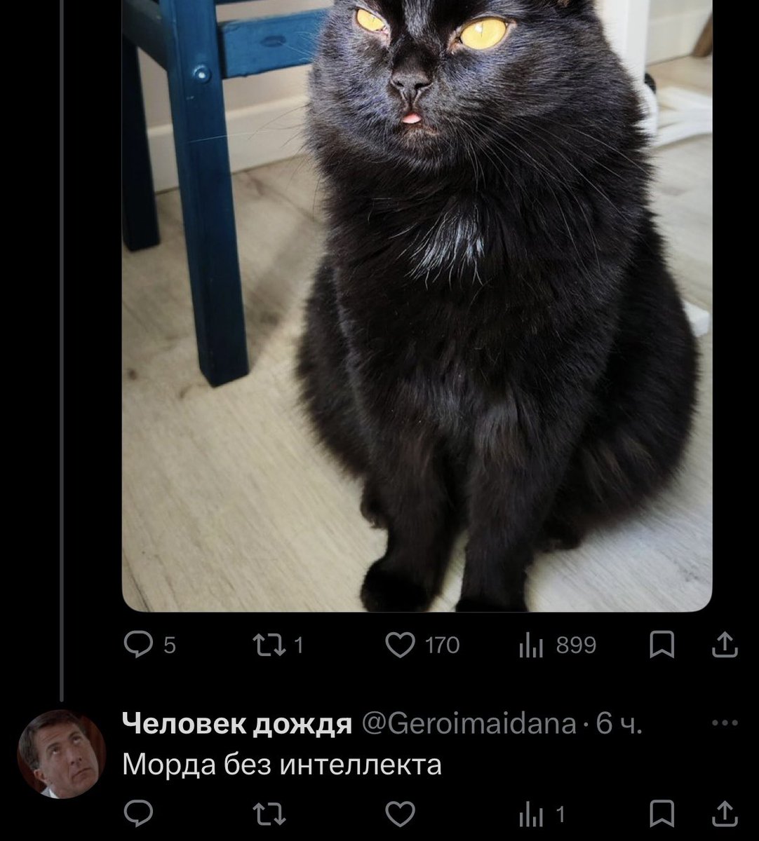 aunrinke tweet media