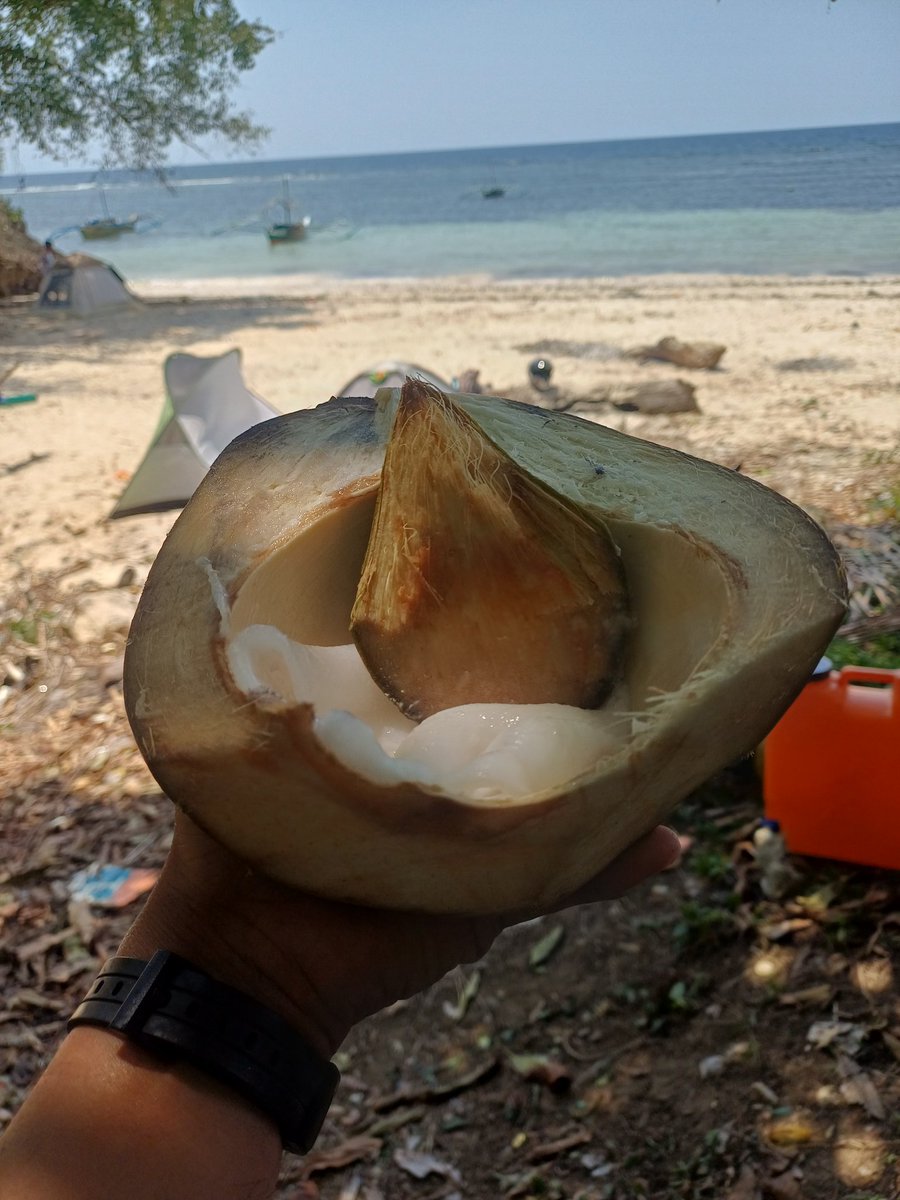 OutdoorVersa tweet media