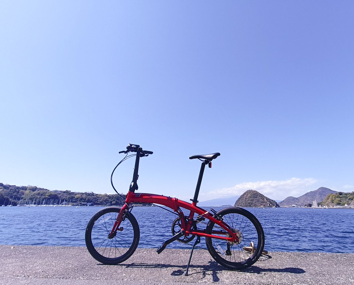 ガイ🌱 tweet media