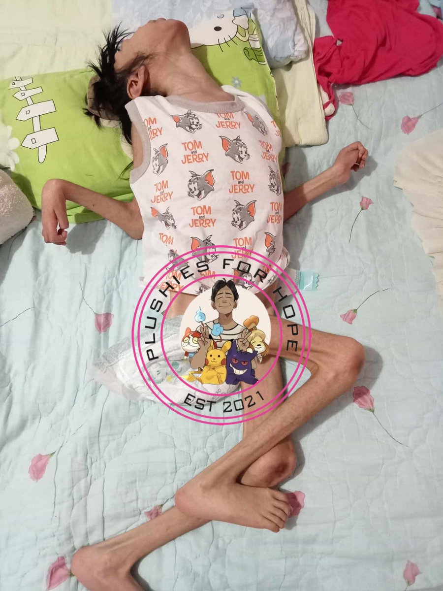 Plushies For Hope | Volunteer Group tweet media