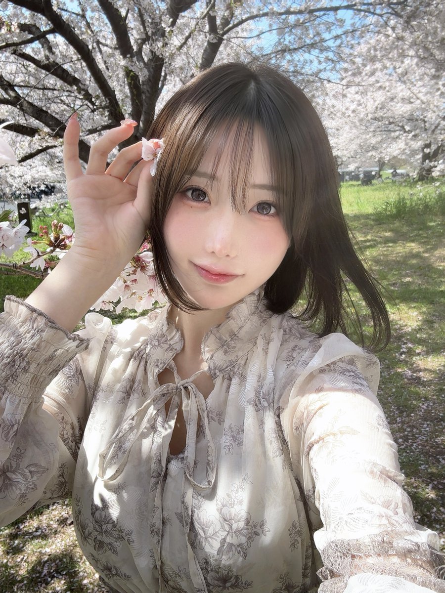 桜 🌸