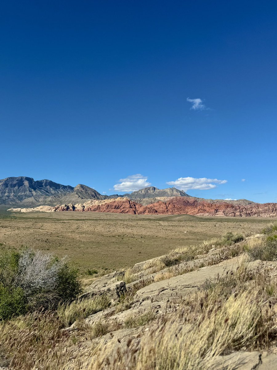 CLDUB66's tweet image. Springtime at Red Rock Canyon #redrock #lasvegas