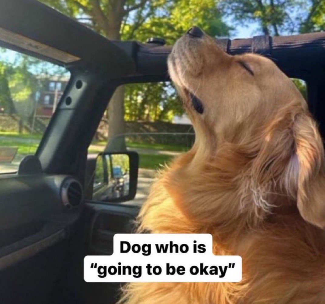 marnestri's tweet image. mitchy marns hatty saves lives oh man life is SO good rn #bless